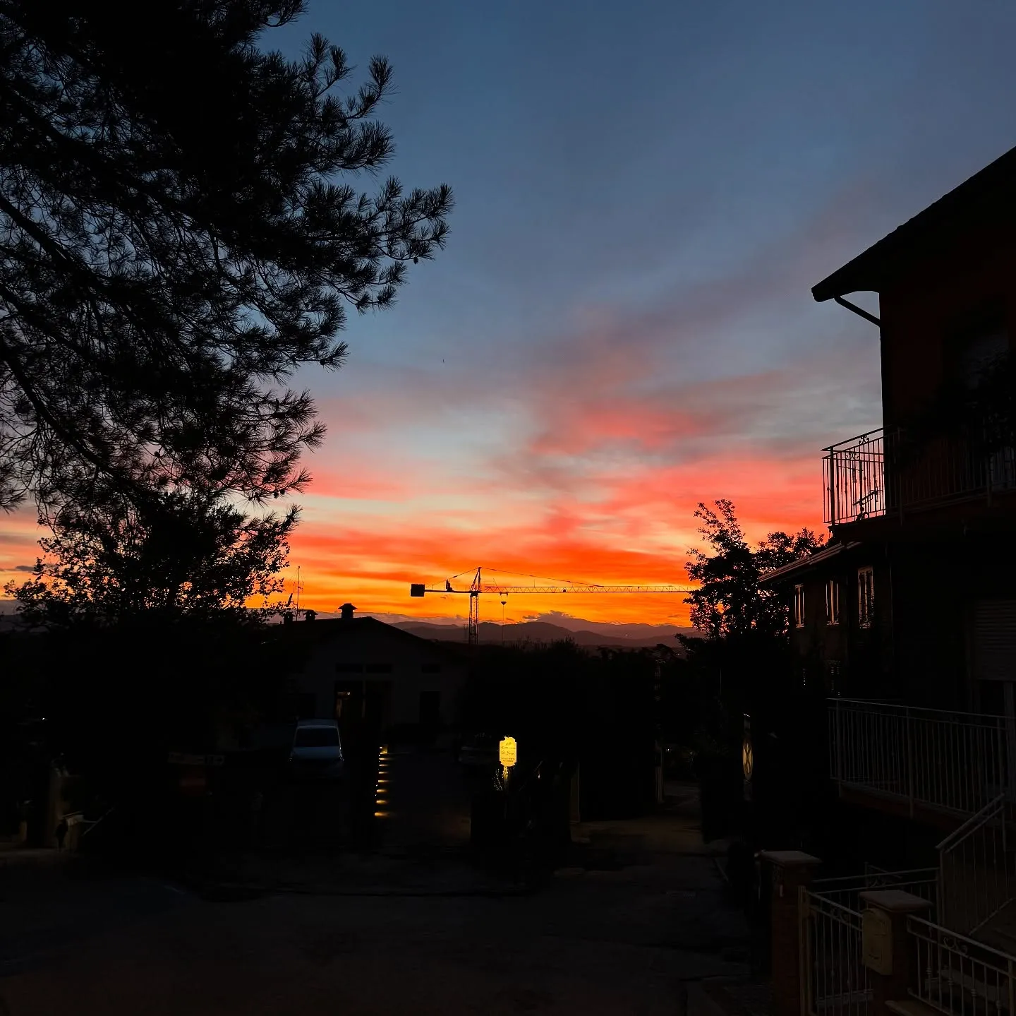 Tramonto acceso dietro le sagome di alberi e abitazioni.