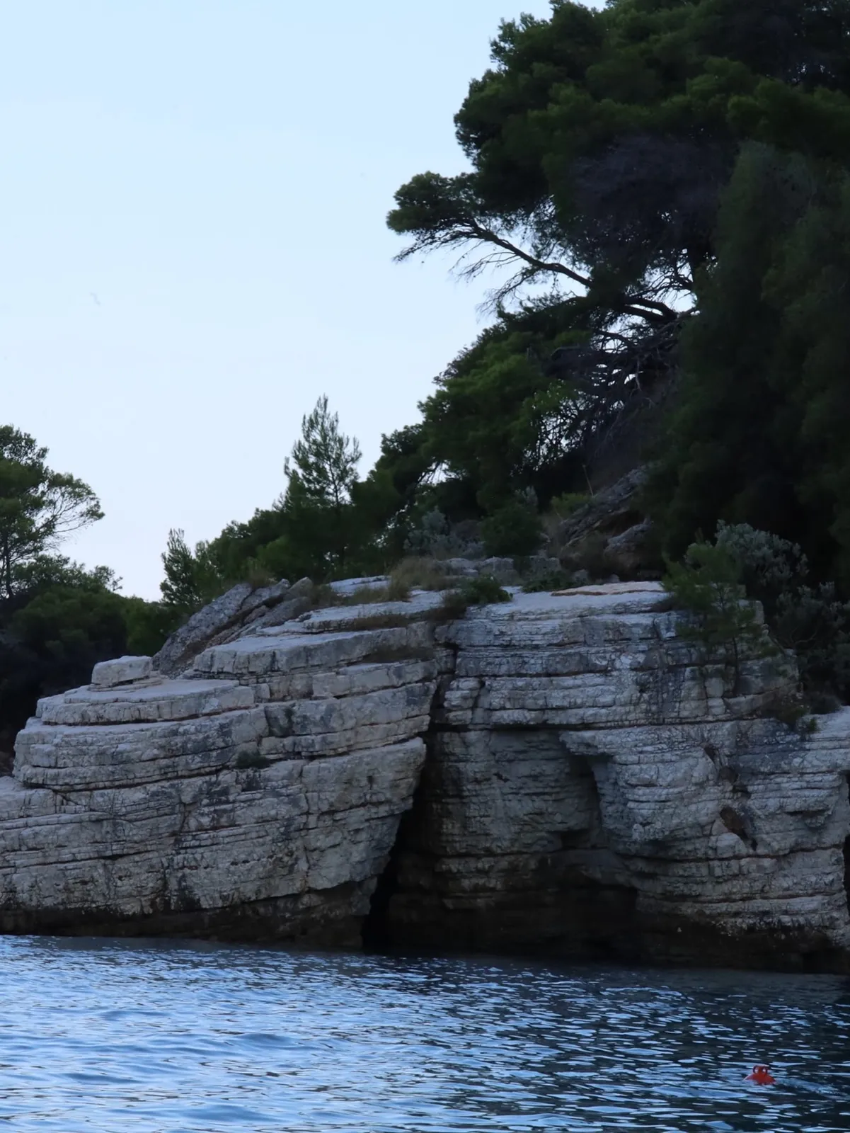 Costa adriatica — costa rocciosa immersa nella vegetazione.