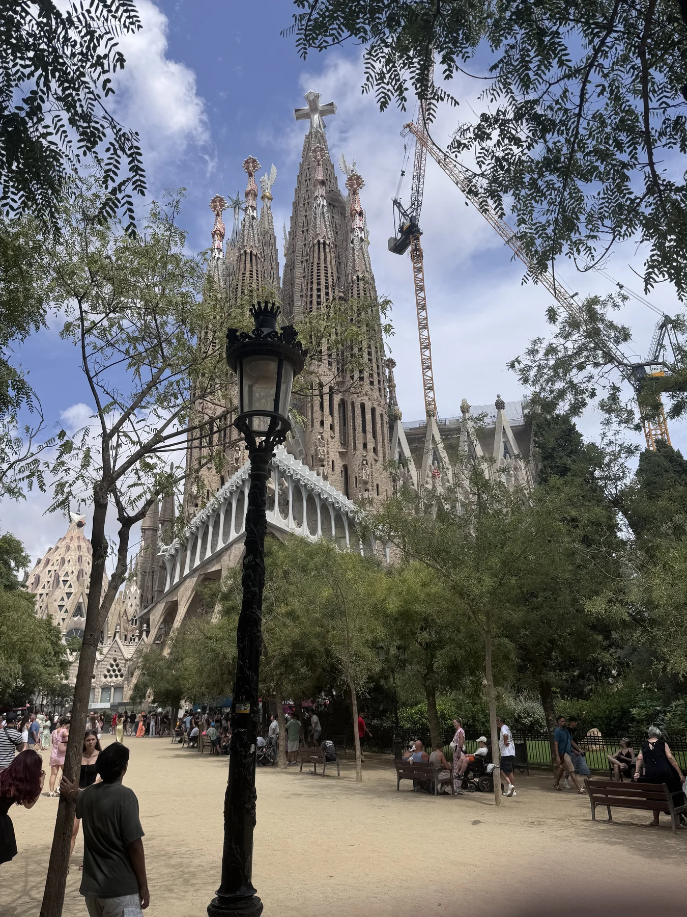 Plaça de Gaudí — la Sagrada Família tra alberi, lampioni e vita quotidiana.